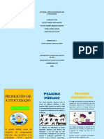 Actividad 4 - Promoción Del Autocuidado RIESGO PUBLICO