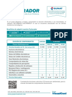Planesdefe PDF