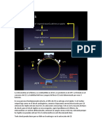 Curso Shock.docx