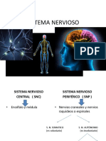 Sistema Nervioso