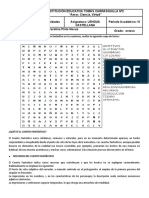 Actividad de Trabajo Grado 8º