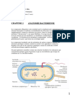 Chapitre 2 Anatomie bacterienne