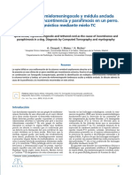 Clivetpeqaniv32n2p81 PDF