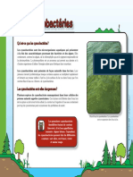 fiche_cyanobacteries.pdf
