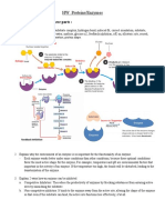 HW Proteins Enzymes