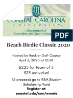Beach Birdie Good Flyer