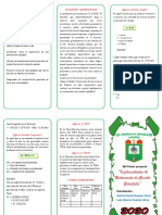TRIPTICO Mi Primer Proyecto PDF