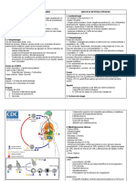 Absceso Hepático