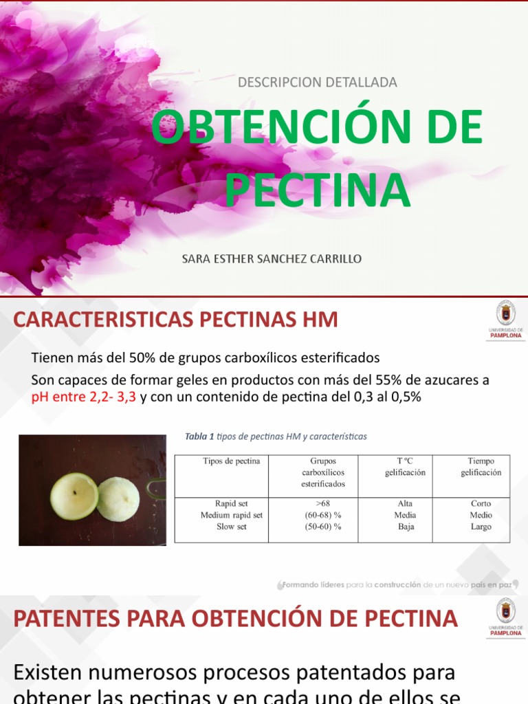 Patentes Pectina PDF Filtración Precipitación (Química)