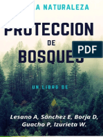 Proteccion de Bosques 