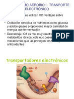 Clase10 Transportee-Fosforilacionoxidativa PDF