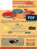 Infografia Geologia en La Geotermia