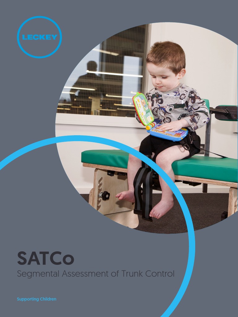 Segmental Assessment of Trunk Control | PDF | Pelvis | Musculoskeletal ...