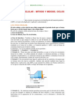 12 Ciclocelular