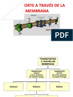 Menbrana PDF