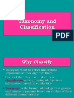 Taxonomy and Classification Explained