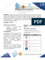 Formato Informaes Carlos Sarmiento PDF