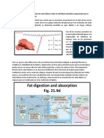 Cuestionario Bioquímica Practica 3