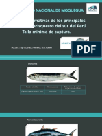Recursos Hidrobiologicos - Marisqueros PDF
