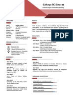 Curiculum Vitae PDF