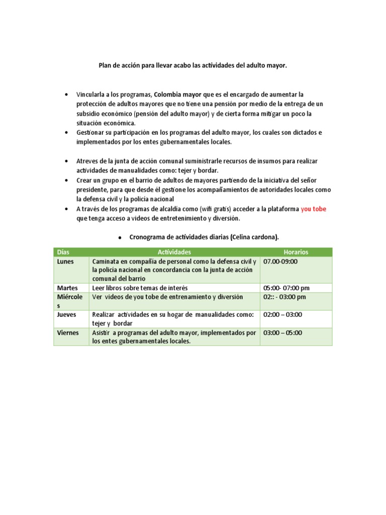 Plan de Actividades para Adultos Mayores | PDF | Informática