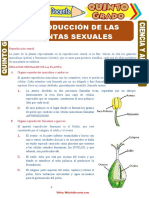 Reproducción-de-las-Plantas-Sexuales-para-Quinto-Grado-de-Primaria (1).doc