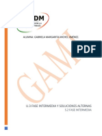 U.3 Fase Intermedia Y Soluciones Alternas: Alumna: Gabriela Margarita Michel Jiménez