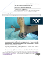 348 Otro 2507 1 10 20190730 PDF