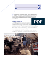 RDR-Calf Nutrition PDF