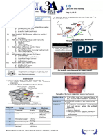 ENT 1.3 Lips and Oral Cavity