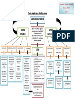 Cuadro Sinóptico Sobre Asfixiología Forense