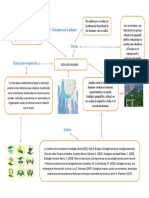 Mapa Mental Consuelo Ramos