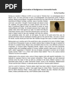 Faith and Fascination of A or Ammonite Fossils