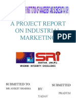 Overveiw On Industrial Marketing PDF