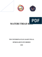 Materi-TRIAD-KRR.pdf