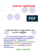 Правописни правила PDF