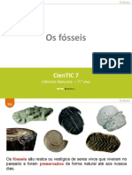 Fósseis e tipo de fósseis 1