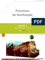 Fossilização - Etapas e Processos 2