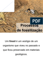 Processos de fossilização - 2