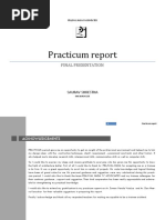 Superfinal Practicum Report