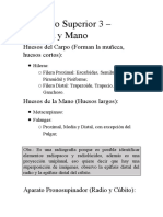 Resumen del Miembro Superior (Muñeca y Mano).docx