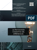 Presentación Psicologia Del Desarrollo PDF