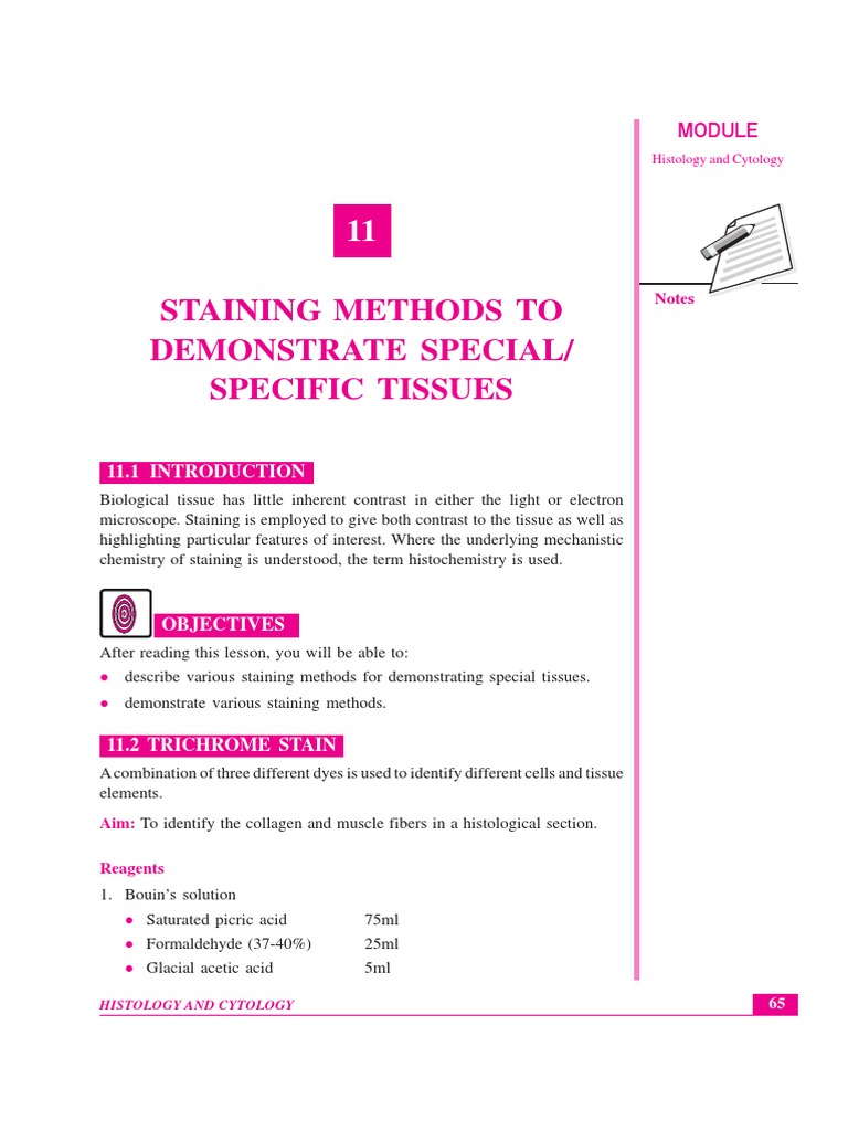 Lesson-11 Staining Methods To Demonstrate Specialspecial Tissue | PDF ...