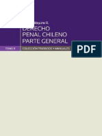 Náquira, Jaime - Derecho Penal Chileno Parte General Tomo 2 PDF