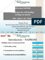 SBO Project NAPROM Challenges for Self-Healing Coatings on Metals