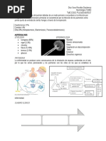 Micosis Pulmonares