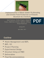 Implementation of Black Soldier Fly Breeding and Chicken Feed Production at Pickards Mountain Eco-Institute