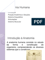 Noções Básicas de Anatomia Humana