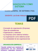 Organizacion Como Sistema