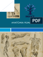 Anatomia Humana y Deporte